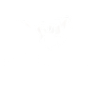 untitled design (67)